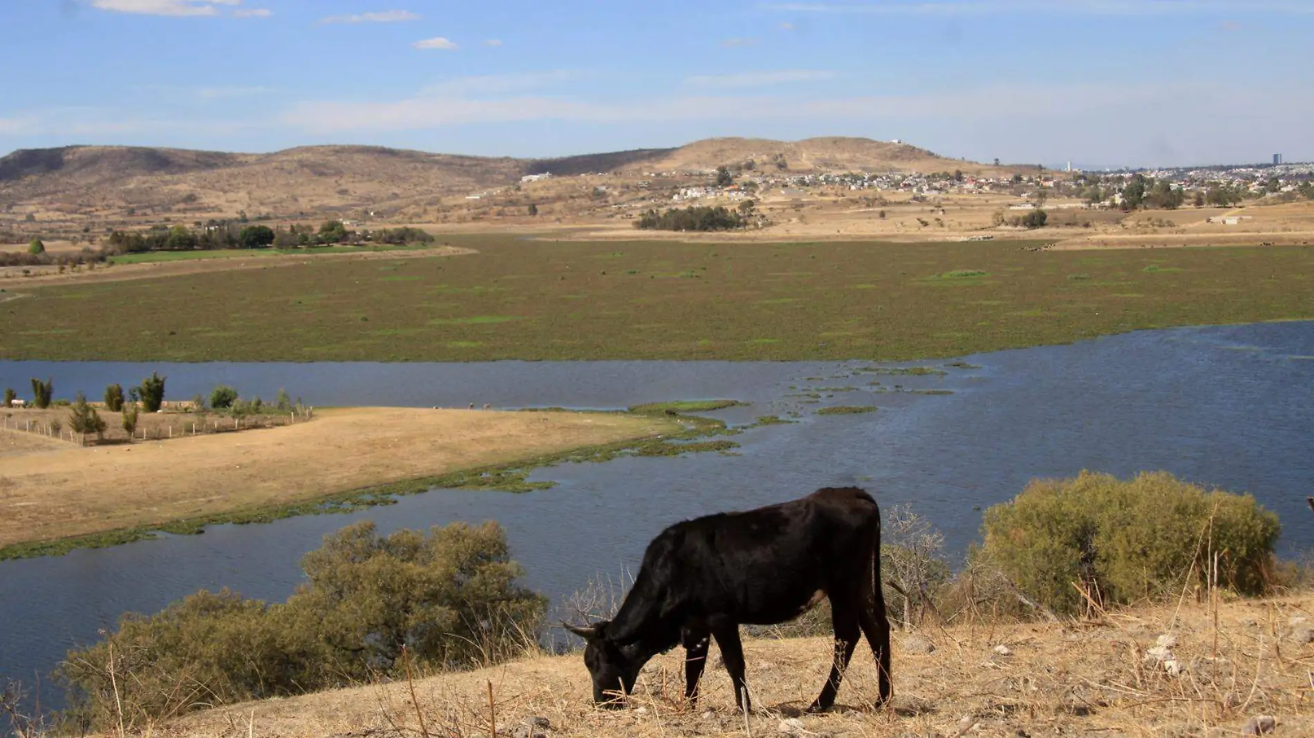 2023 será el año más crítico para la presa de Valsequillo en los últimos 50 años